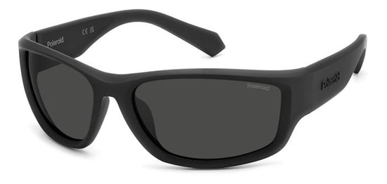 Polaroid {Product.Name} Sunglasses PLD2166/S 003/M9