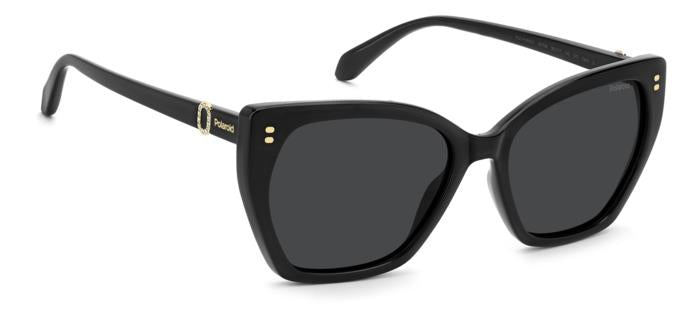 Polaroid {Product.Name} Sunglasses PLD4198/S/X 807/M9