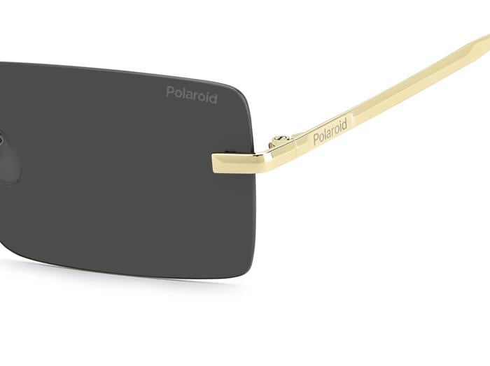 Polaroid {Product.Name} Sunglasses PLD6245/S 2F7/M9