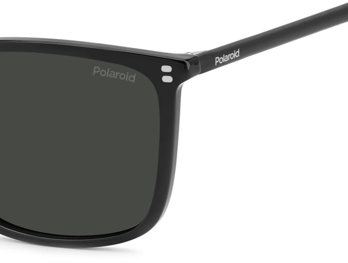 Polaroid {Product.Name} Sunglasses PLD4210/S/X 807/M9