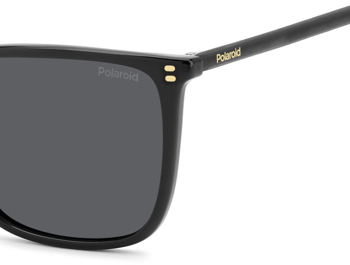 Polaroid {Product.Name} Sunglasses PLD4209/S/X 807/M9
