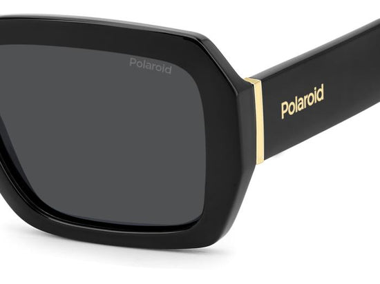 Polaroid {Product.Name} Sunglasses PLD6223/S/X 807/M9