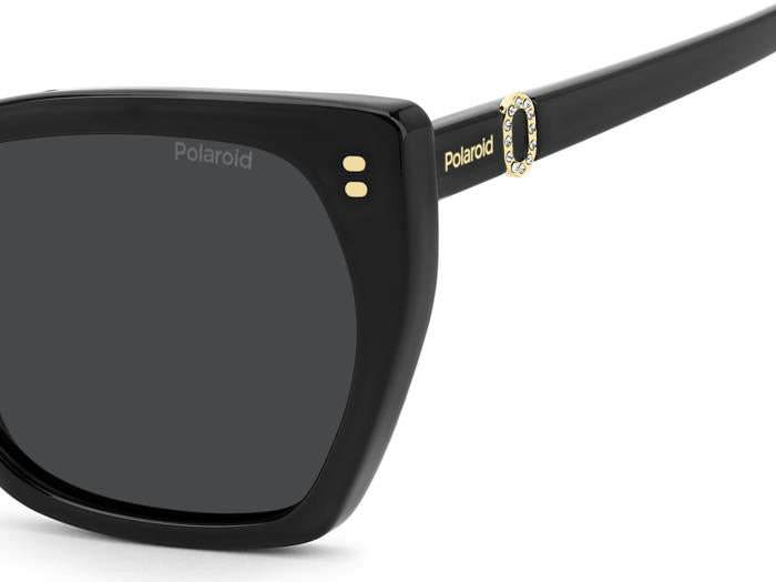 Polaroid {Product.Name} Sunglasses PLD4198/S/X 807/M9