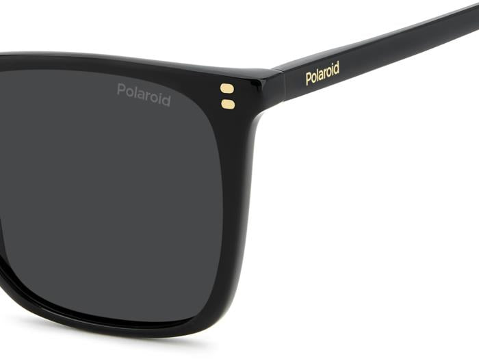 Polaroid {Product.Name} Sunglasses PLD4201/S/X 807/M9