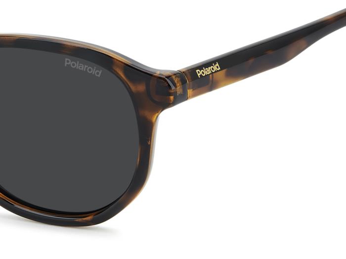 Polaroid {Product.Name} Sunglasses PLD4195/S 086/M9