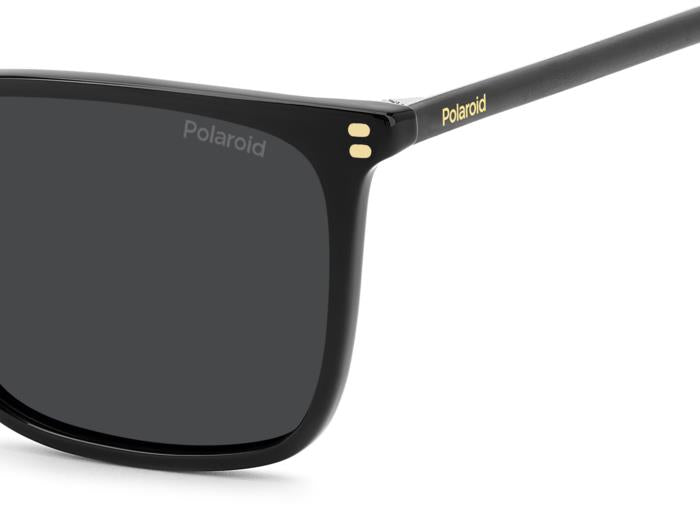 Polaroid {Product.Name} Sunglasses PLD4207/S/X 807/M9
