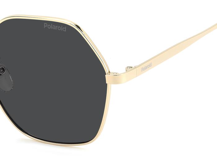Polaroid {Product.Name} Sunglasses PLD4205/G/S/X 2F7/M9