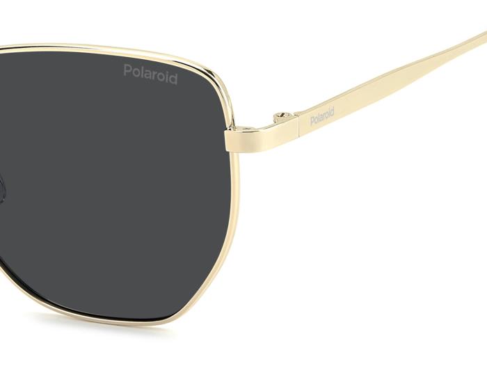 Polaroid {Product.Name} Sunglasses PLD4204/G/S/X 2F7/M9