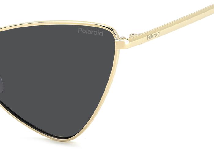 Polaroid {Product.Name} Sunglasses PLD6244/S/X 2F7/M9