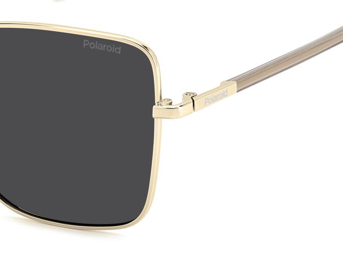 Polaroid {Product.Name} Sunglasses PLD4193/G/S/X 2F7/M9