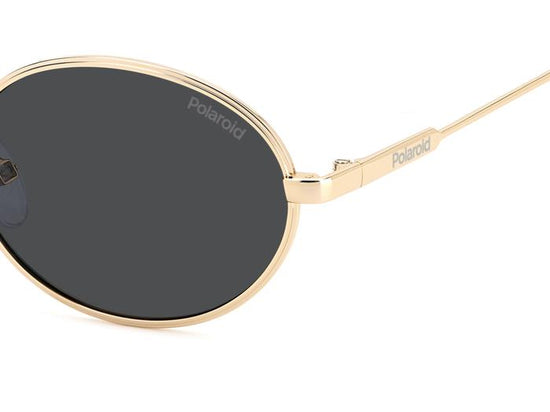 Polaroid {Product.Name} Sunglasses PLD6228/S/X 000/M9