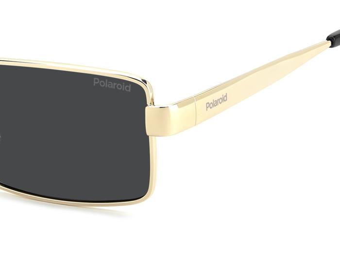 Polaroid {Product.Name} Sunglasses PLD6255/S/X 2F7/M9