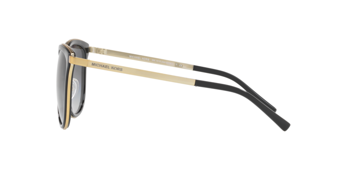 Michael Kors Adrianna I Sunglasses MK1010 1100T3