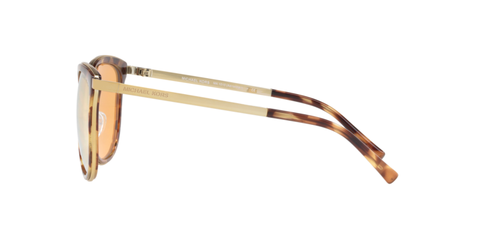 Michael Kors Adrianna I Sunglasses MK1010 11997J