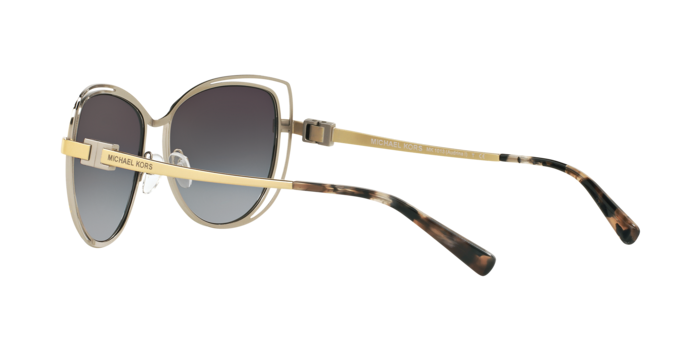 Michael Kors Audrina I Sunglasses MK1013 112011