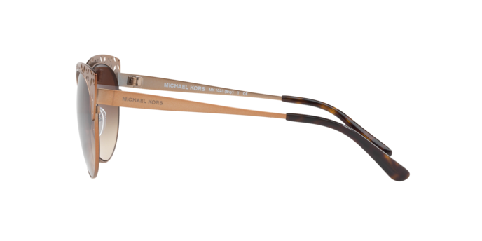 Michael Kors Evy Sunglasses MK1023 119013