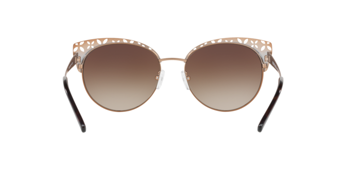 Michael Kors Evy Sunglasses MK1023 119013