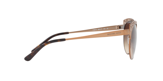 Michael Kors Evy Sunglasses MK1023 119013