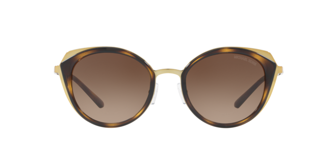 Michael Kors Charleston Sunglasses MK1029 116813