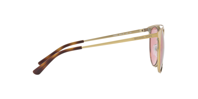 Michael Kors Grayton Sunglasses MK1030 116884