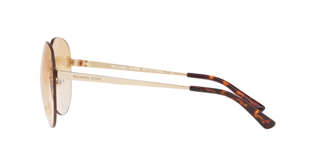 Michael Kors Sydney Sunglasses MK1037 10142D