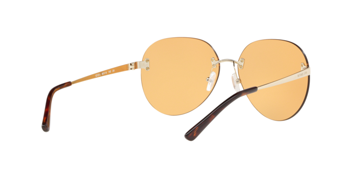 Michael Kors Sydney Sunglasses MK1037 12127J