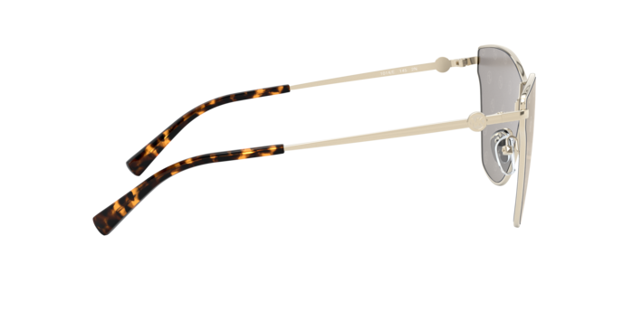 Michael Kors Larissa Sunglasses MK1063 1014/E