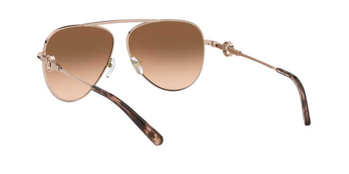 Michael Kors Salina Sunglasses MK1066B 11088Z