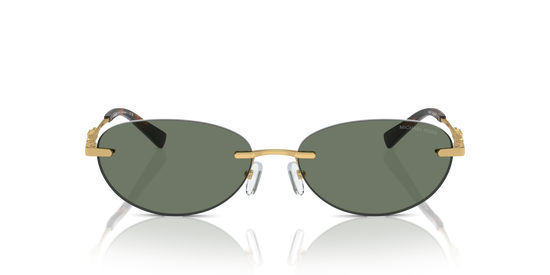 Michael Kors Manchester Sunglasses MK1151 18963H