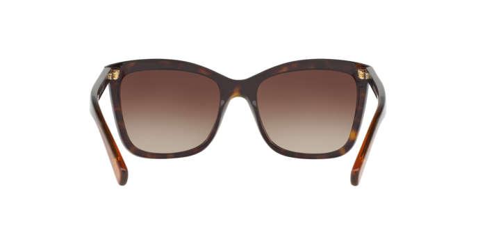 Michael Kors Cornelia Sunglasses MK2039 321713