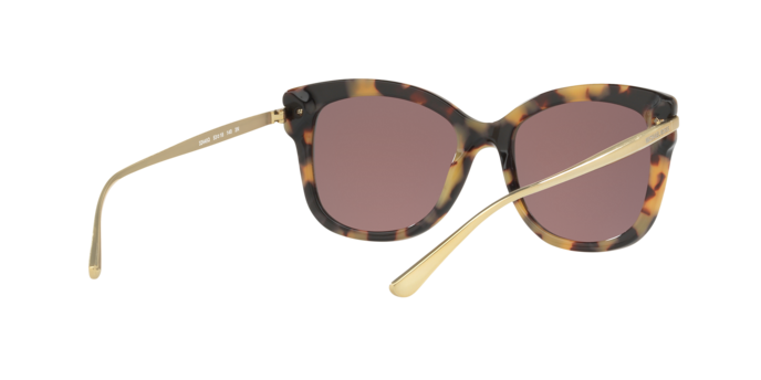 Michael Kors Lia Sunglasses MK2047 32446Q