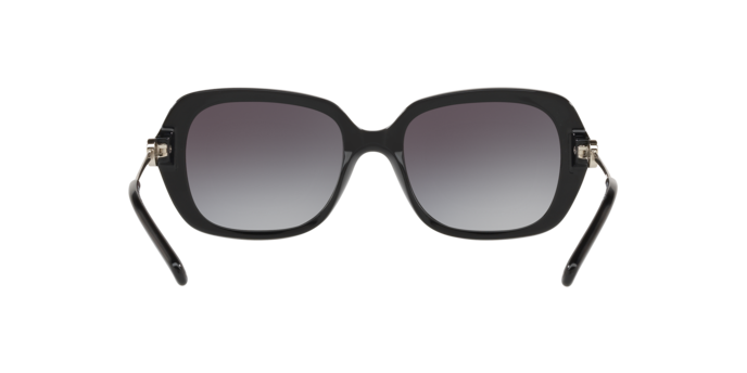 Michael Kors Carmel Sunglasses MK2065 30058G