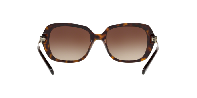 Michael Kors Carmel Sunglasses MK2065 300613