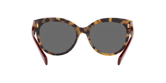 Michael Kors Portillo Sunglasses MK2083 301387