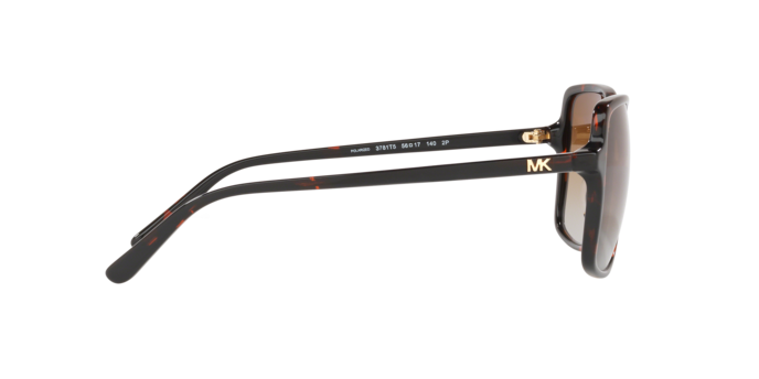 Michael Kors Isle Of Palms Sunglasses MK2098U 3781T5