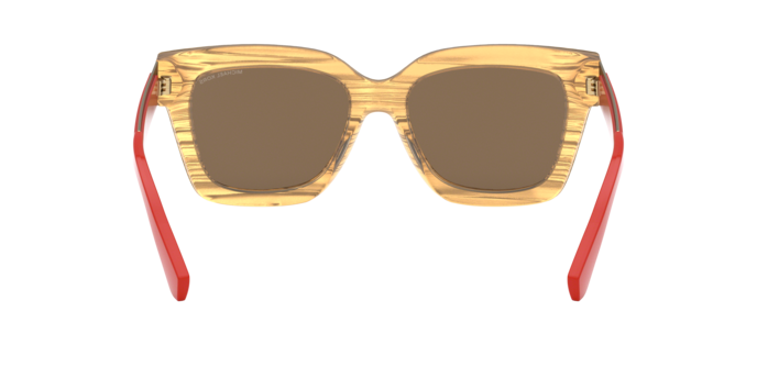 Michael Kors Berkshires Sunglasses MK2102 399773