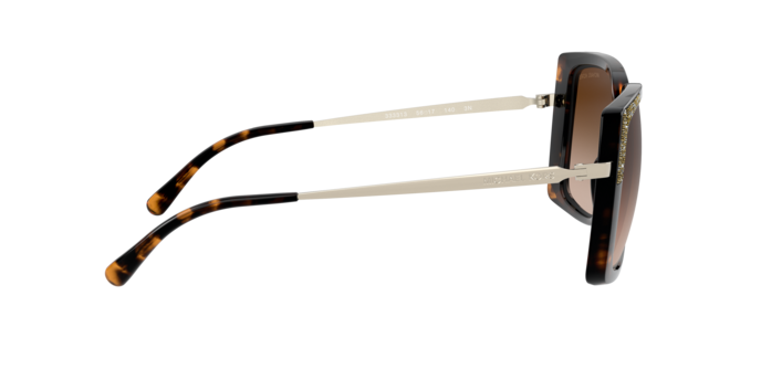 Michael Kors Rochelle Sunglasses MK2131 333313