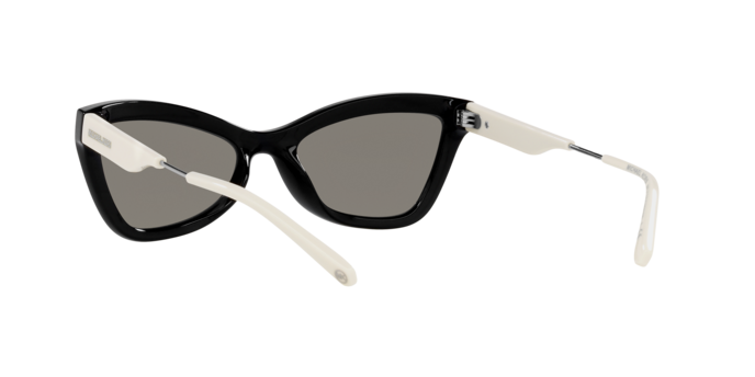 Michael Kors Valencia Sunglasses MK2132U 33326G