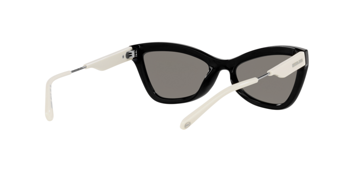 Michael Kors Valencia Sunglasses MK2132U 33326G