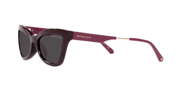 Michael Kors Valencia Sunglasses MK2132U 334487