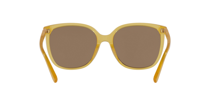 Michael Kors Anaheim Sunglasses MK2137U 344573