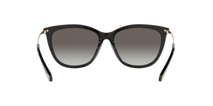 Michael Kors Dublin Sunglasses MK2150U 33328G