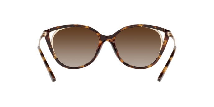 Michael Kors Alexandria Sunglasses MK2152U 300613