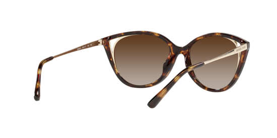 Michael Kors Alexandria Sunglasses MK2152U 300613