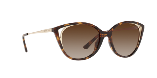 Michael Kors Alexandria Sunglasses MK2152U 300613