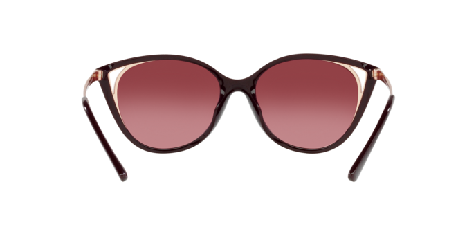 Michael Kors Alexandria Sunglasses MK2152U 33448H