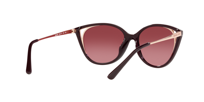 Michael Kors Alexandria Sunglasses MK2152U 33448H