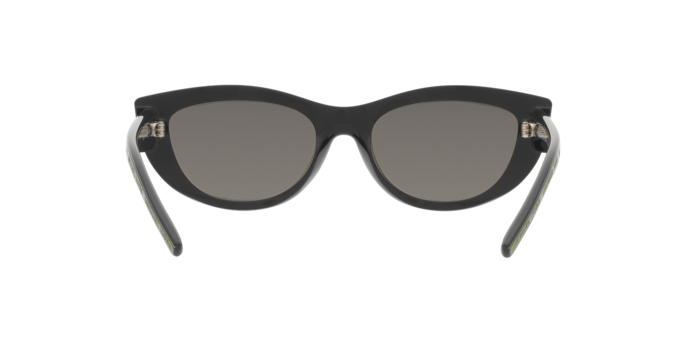 Michael Kors Rio Sunglasses MK2160 30056G