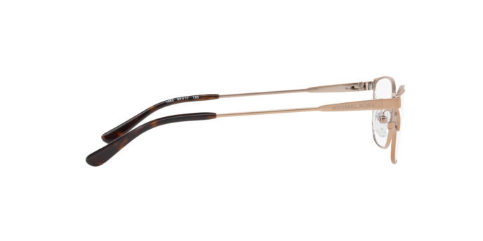 Michael Kors San Vicente Eyeglasses MK3020 1083