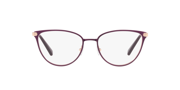 Michael Kors Cairo Eyeglasses MK3049 1213